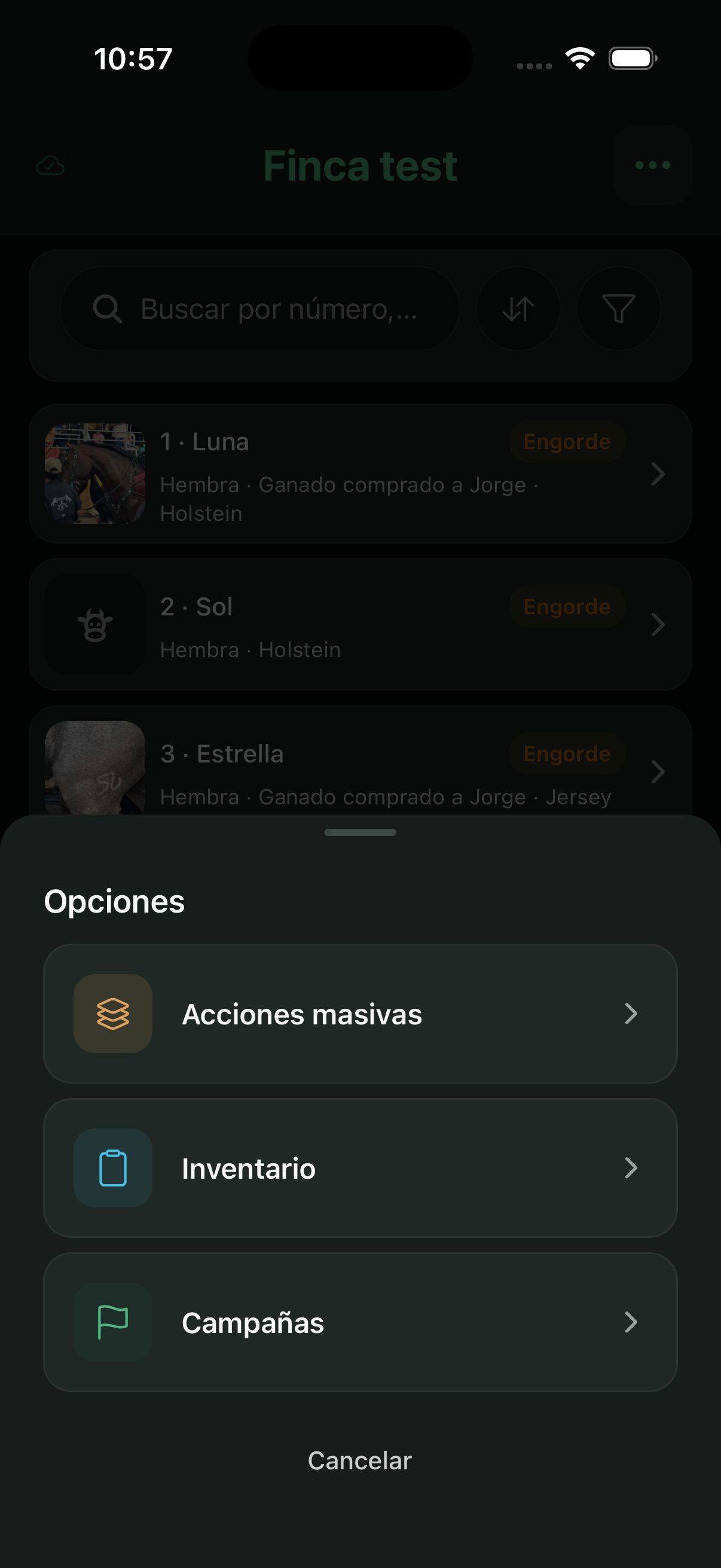 Menú ⋯: acciones masivas, inventario y campañas