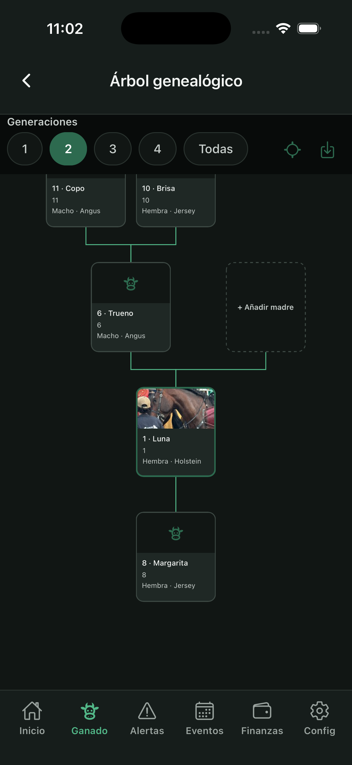 Árbol genealógico (familia)