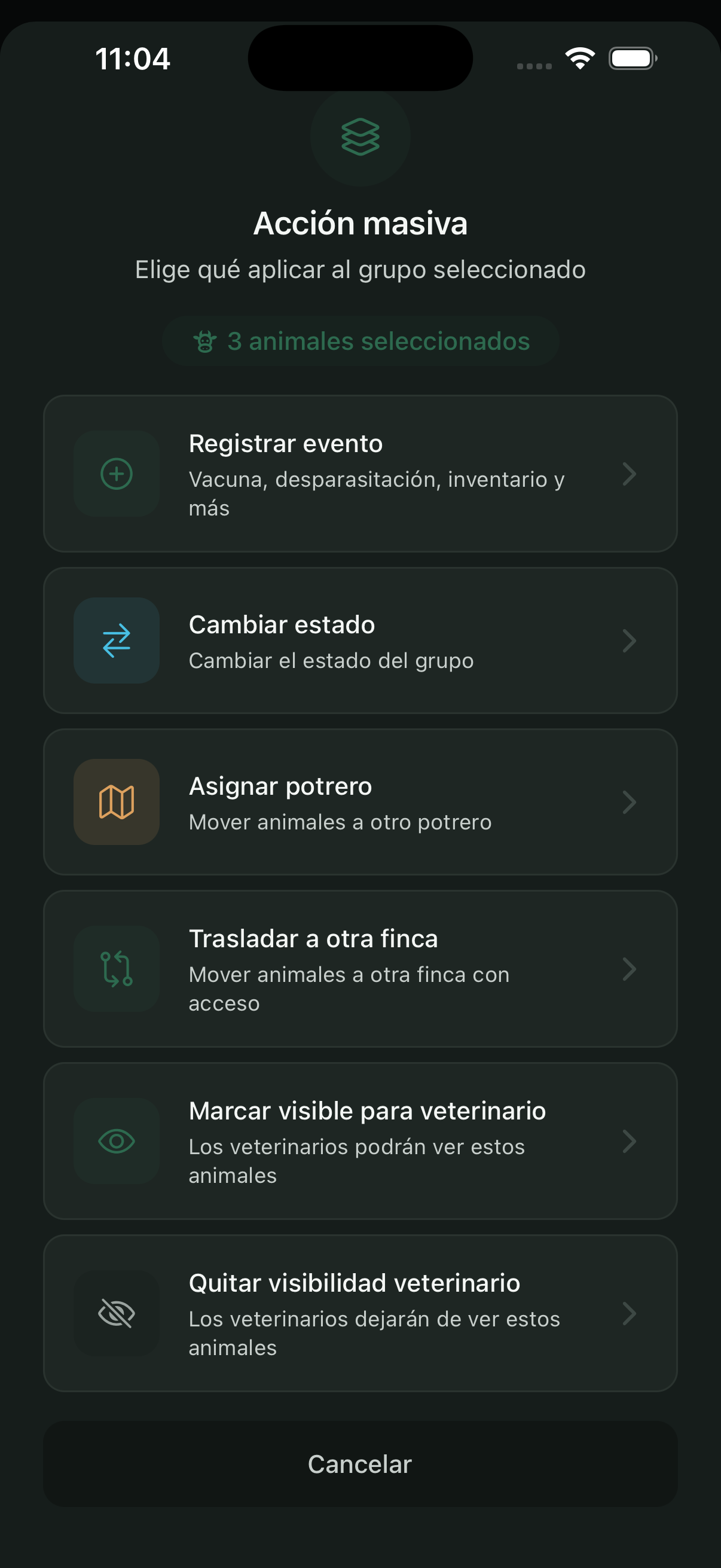 Hoja de acciones masivas